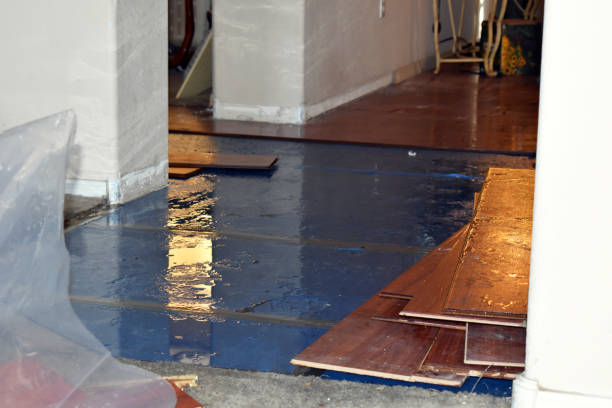 Professional Burst Pipe Cleanup technician working in Folcroft, PA