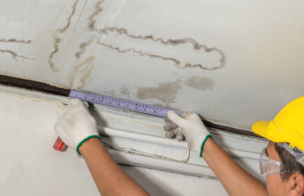 Reliable Burst Pipe Cleanup contractor in Folcroft, PA by Water Damage Irwin